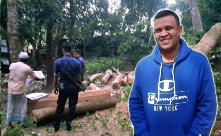 রক্ষক যখন ভক্ষক; জব্দকৃত কাঠ বিক্রি করে দিলেন বন কর্মকর্তা হাবিব