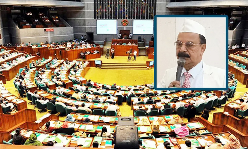 এক/এগারোর কথা বললে অনেকেই বিব্রতবোধ করবেন: গয়েশ্বর