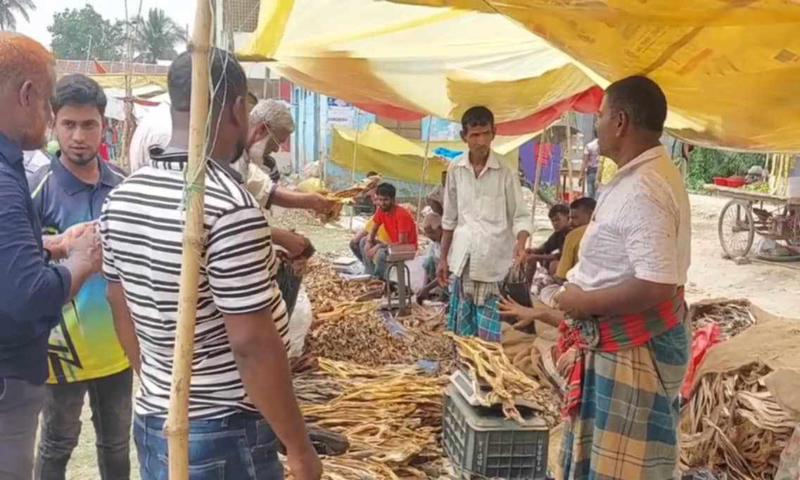 ব্রাহ্মণবাড়িয়ায় তিনশত বছরের ঐতিহ্যবাহি শুটকি মেলা