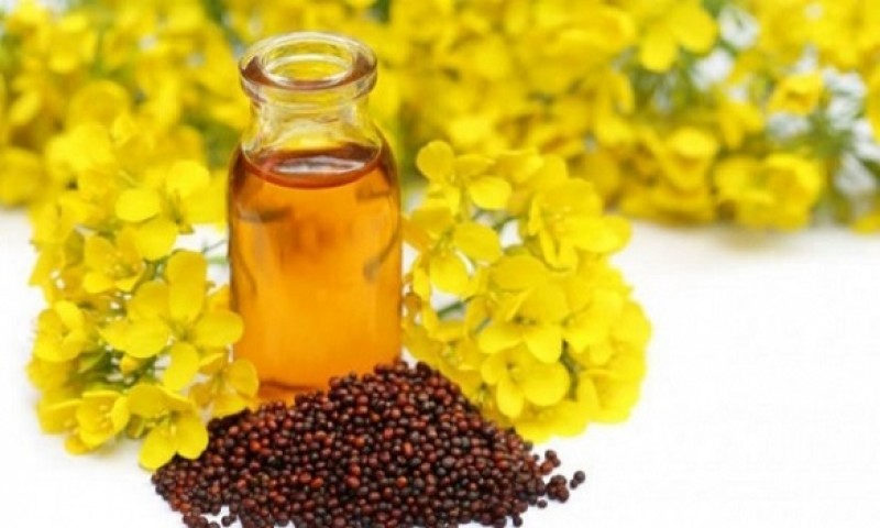 সরিষা তেলের বিস্ময়কর যত গুণ
